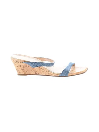 Pre-owned Stuart Weitzman Wedges In Blue