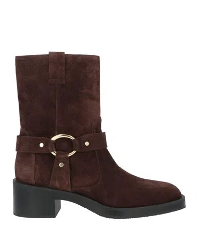 Stuart Weitzman Woman Ankle Boots Chocolate Brown Size 6.5 Leather