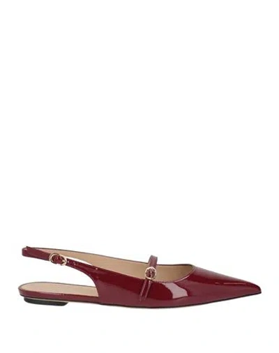 Stuart Weitzman Woman Ballet Flats Burgundy Size 9 Leather In Red