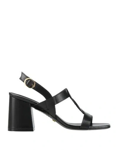 Stuart Weitzman Woman Sandals Black Size 8.5 Calfskin