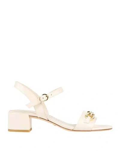 Stuart Weitzman Woman Sandals Ivory Size 5.5 Leather In White
