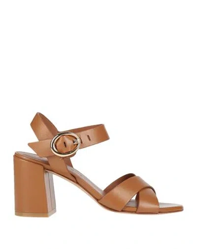 Stuart Weitzman Woman Sandals Tan Size 8 Calfskin In Brown