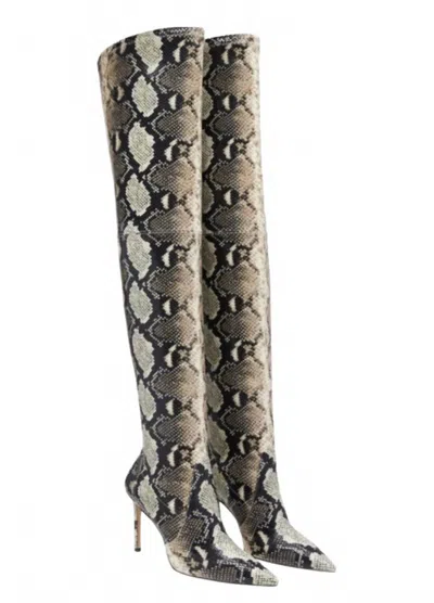 Stuart Weitzman Women's Ultrastuart 100 Roccia Stretch Boots In Beige In Multi