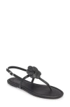 Stuart Weitzman X Sandy Liang T-strap Slingback Sandal In Black Smooth Calf