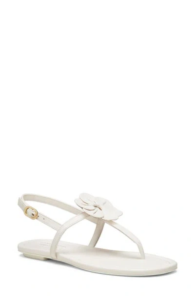Stuart Weitzman X Sandy Liang T-strap Slingback Sandal In Cream