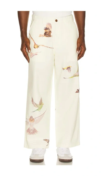 Students Golf Daybreak Pants In Brown