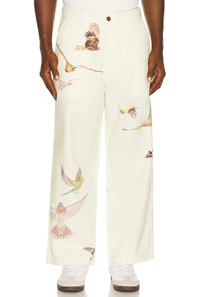 STUDENTS GOLF DAYBREAK PANTS