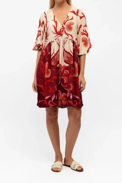 Studibaker Hawk Kindred Spirits Short Dress In Red