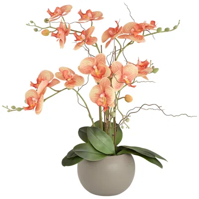 Studio 55d Orange Orchid 22 1/2" High Faux Floral In Gray Pot