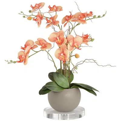 Studio 55d Orange Orchid 22 1/2"h Faux Floral With 7" Round Acrylic Riser