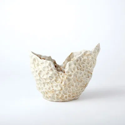 Studio A Home Barrier Reef Bowl In Ivory