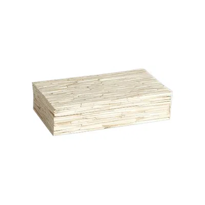 Studio A Home Chiseled Natural White Buffalo Bone 9" Wide Storage Box