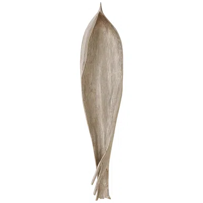Studio A Home Palm Seed Pod Flat Nickel 47" High Metal Sculpture