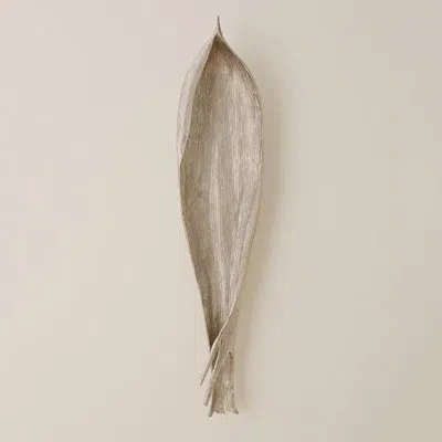 Studio A Home Palm Seed Pod-nickel
