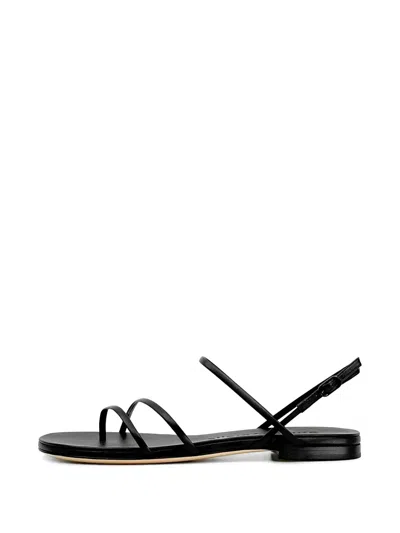 Studio Amelia Helix Multi-strap Sandals In Black