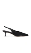 Studio Amelia Razor Crystal-mesh Slingback Pumps In Black