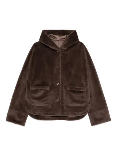 Studio Ar Rylee Coat In Brown