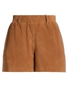 Studio Ar Woman Shorts & Bermuda Shorts Brown Size 8 Lambskin In Brown