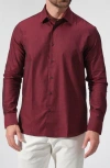 Studio Garnet Los Angeles Cotton Button-down Shirt In Burgundy