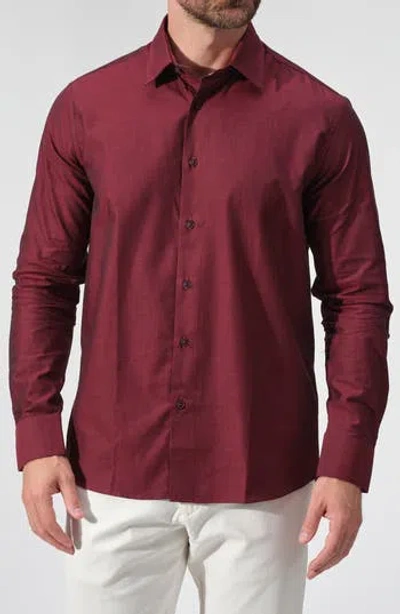 Studio Garnet Los Angeles Cotton Button-down Shirt In Burgundy