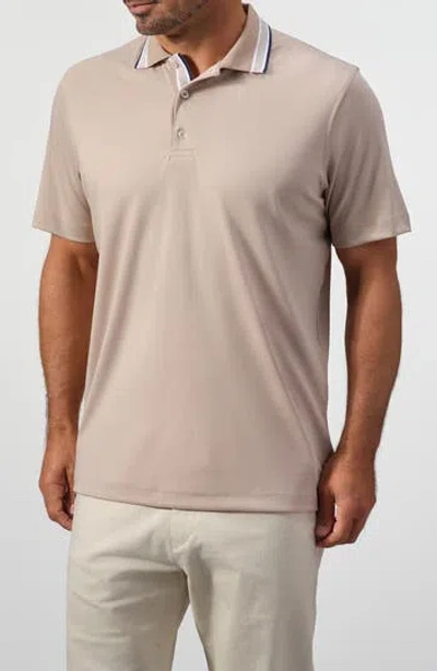 Studio Garnet Los Angeles Tipped Knit Polo In Brown