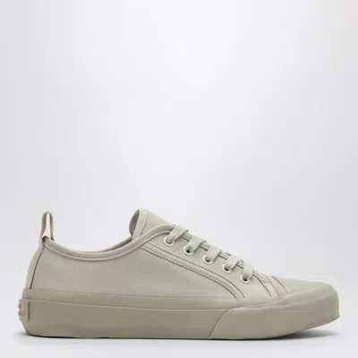 STUDIO NICHOLSON BYRD DOVE-COLOURED LOW SNEAKER