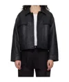 Studio Nicholson Collared Jacket In Black