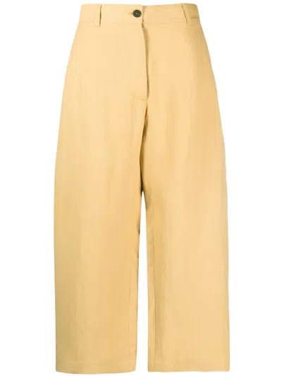 Studio Nicholson High Waist Wide Leg Cropped Cotton Trousers In Beige