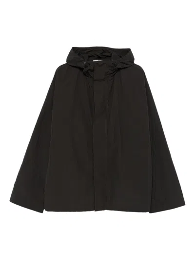 Studio Nicholson Hooded Windbreaker Jacket In Brown
