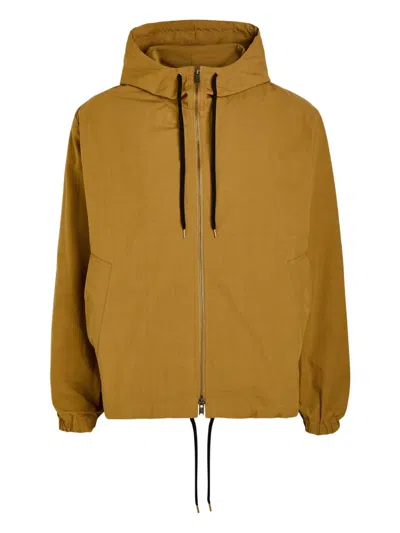 Studio Nicholson Hooded Zip-up Jacket In Brown