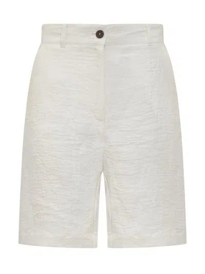 Studio Nicholson Short Pants