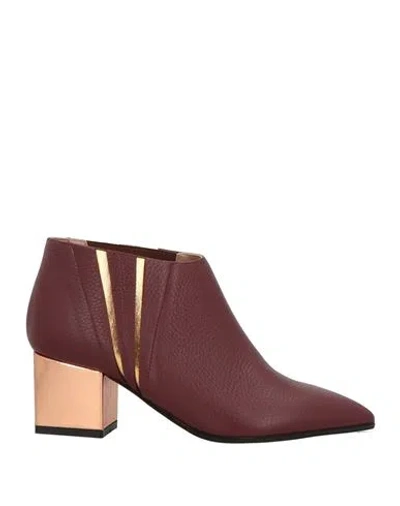 Studio Pollini Woman Ankle Boots Burgundy Size 7 Leather In Red