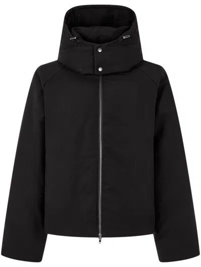 Studio Tomboy Cropped Puffer Jacket In Black