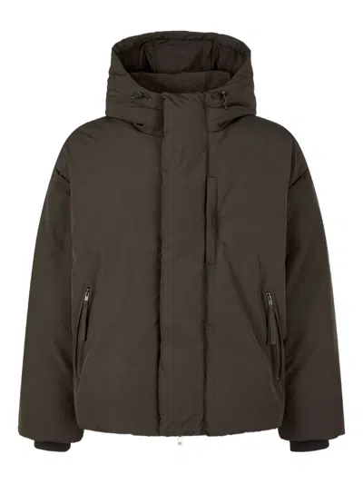 Studio Tomboy Hooded Padded Jacket In Brown