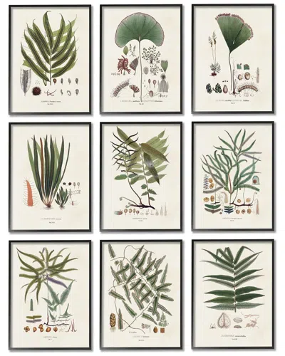 STUPELL ANTIQUE LEAVES VINTAGE STUDIES BY VISION STUDIO WALL ART