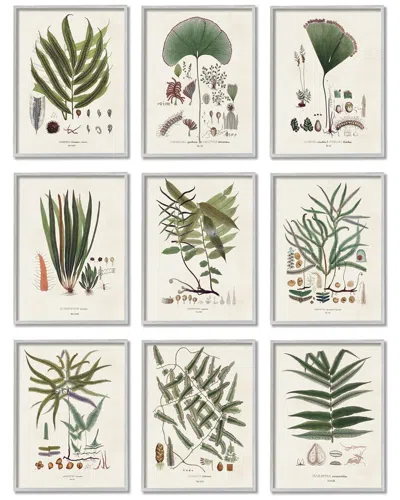STUPELL ANTIQUE LEAVES VINTAGE STUDIES BY VISION STUDIO WALL ART