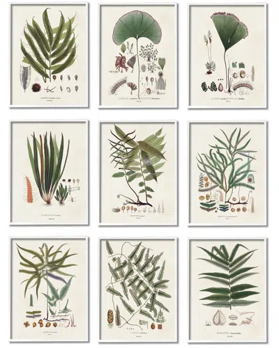 STUPELL ANTIQUE LEAVES VINTAGE STUDIES BY VISION STUDIO WALL ART