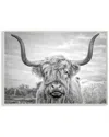 Stupell Black And White Highland Cow Photograph By Joe Reynolds