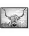 Stupell Black And White Highland Cow Photograph By Joe Reynolds Framed Art