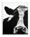 Stupell Cow Black And White Close Up By Lettered And Lined