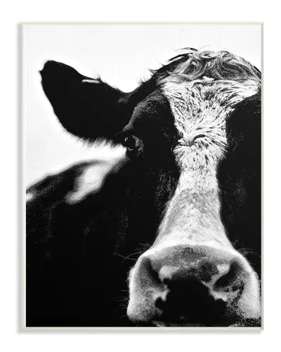 Stupell Cow Black And White Close Up By Lettered And Lined