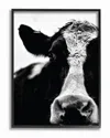 Stupell Cow Black And White Close Up By Lettered And Lined Framed Art
