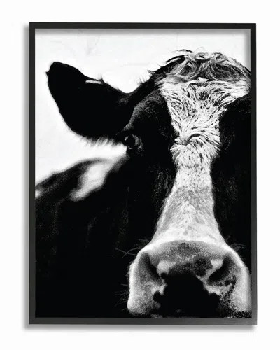 Stupell Cow Black And White Close Up By Lettered And Lined Framed Art
