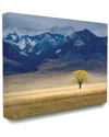 Stupell Home Decor Open Range Landscape With Tree