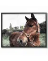 Stupell Horse Posing In Field By Milli Villa Framed Art