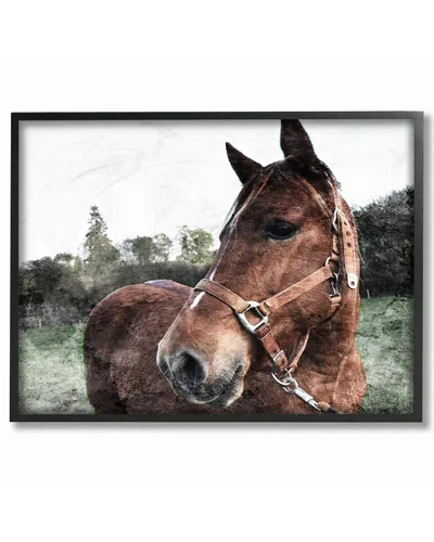 Stupell Horse Posing In Field By Milli Villa Framed Art