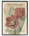 Stupell Hot Red Tulip Bulbs Antique Floral Seed Packet By Studio W Wall Art