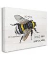 Stupell Industries Anatomy Of Honey Bee Pun Charming Bee's Knees Stretched Canvas Wall Art By Daphne In Off-white