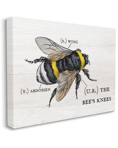 Stupell Industries Anatomy Of Honey Bee Pun Charming Bee's Knees Stretched Canvas Wall Art By Daphne In Off-white