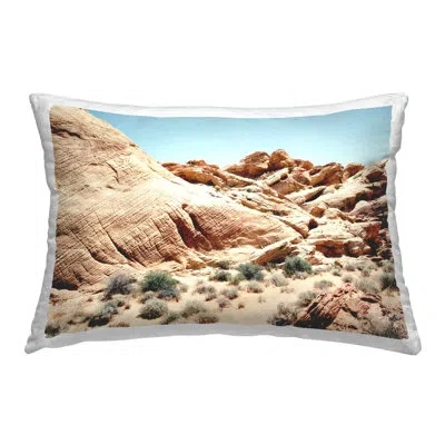 Stupell Industries Arid Desert Scenery Decorative Printed Throw Pillow Design By Debbie O'dell In Tan